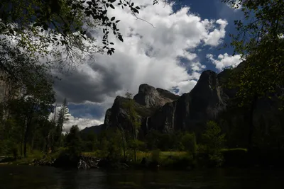 DSC_4339 (Large).JPG